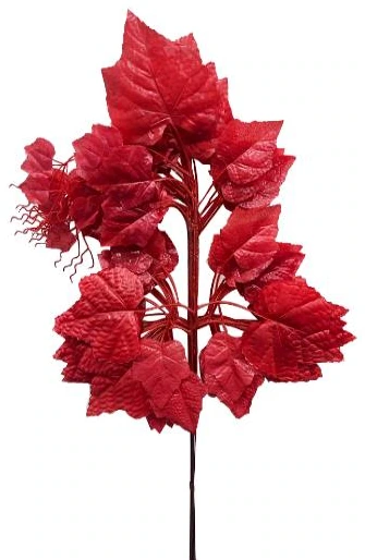 Half Maple x5 Pack of 12